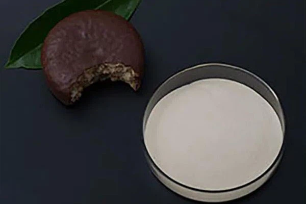 Ethyl Vanillin CAS NO. 121-32-4 Ethyl Vanillin CAS NO. 121-32-4