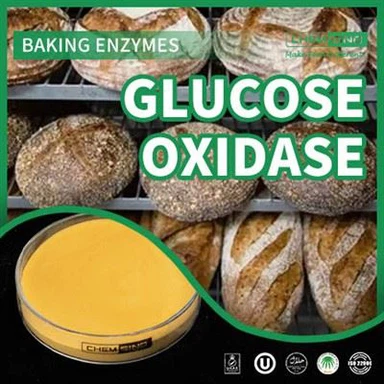 Kinijos fermento gliukozės oksidazė ir jūsų maisto gamybos procesas! CAS NR.: 9001-37-13