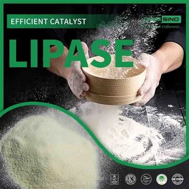 Žarnynui palankus gyvenimas prasideda čia: lipazės fermento pranašumai CAS NR.:9001-62-1