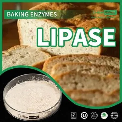 Atlaisvinkite virškinimo galią naudodami lipazės fermentų papildus! CAS NR.:9001-62-1